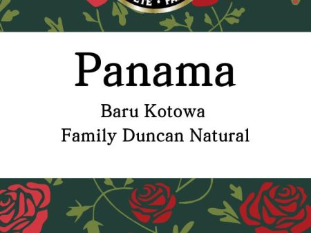 Panama Baru Kotowa Family Duncan (Natural) Cheap