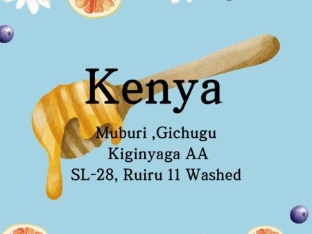 Kenya Muburi, Gichugu Kiginyaga AA SL-28, Ruiru 11 (Washed) Online Hot Sale