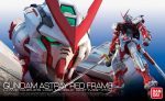 Gundam: Astray Red Frame RG Model on Sale