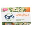 Tom s Of Maine Beauty Bar - Orange Blossom - Case Of 6 - 5 Oz For Cheap