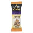 Raw Revolution Glo Crunchy Bar - Peanut Butter And Sea Salt - Case Of 12 - 1.6 Oz. Online now