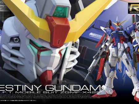 Gundam: Destiny Gundam RG Model Hot on Sale