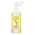 Rebel Green All Purpose Spray - Peppermint Lemon - Case Of 4 - 16 Fl Oz For Sale