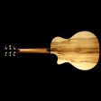 Taylor 914ce Grand Auditorium Sassafras Limited Edition Acoustic Guitar Fashion