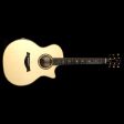 Taylor 914ce Grand Auditorium Sassafras Limited Edition Acoustic Guitar Fashion